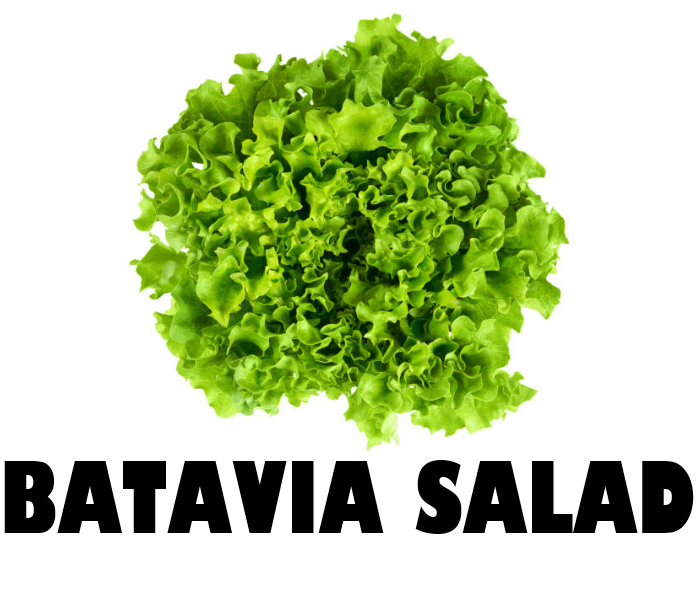 Batavia Salad