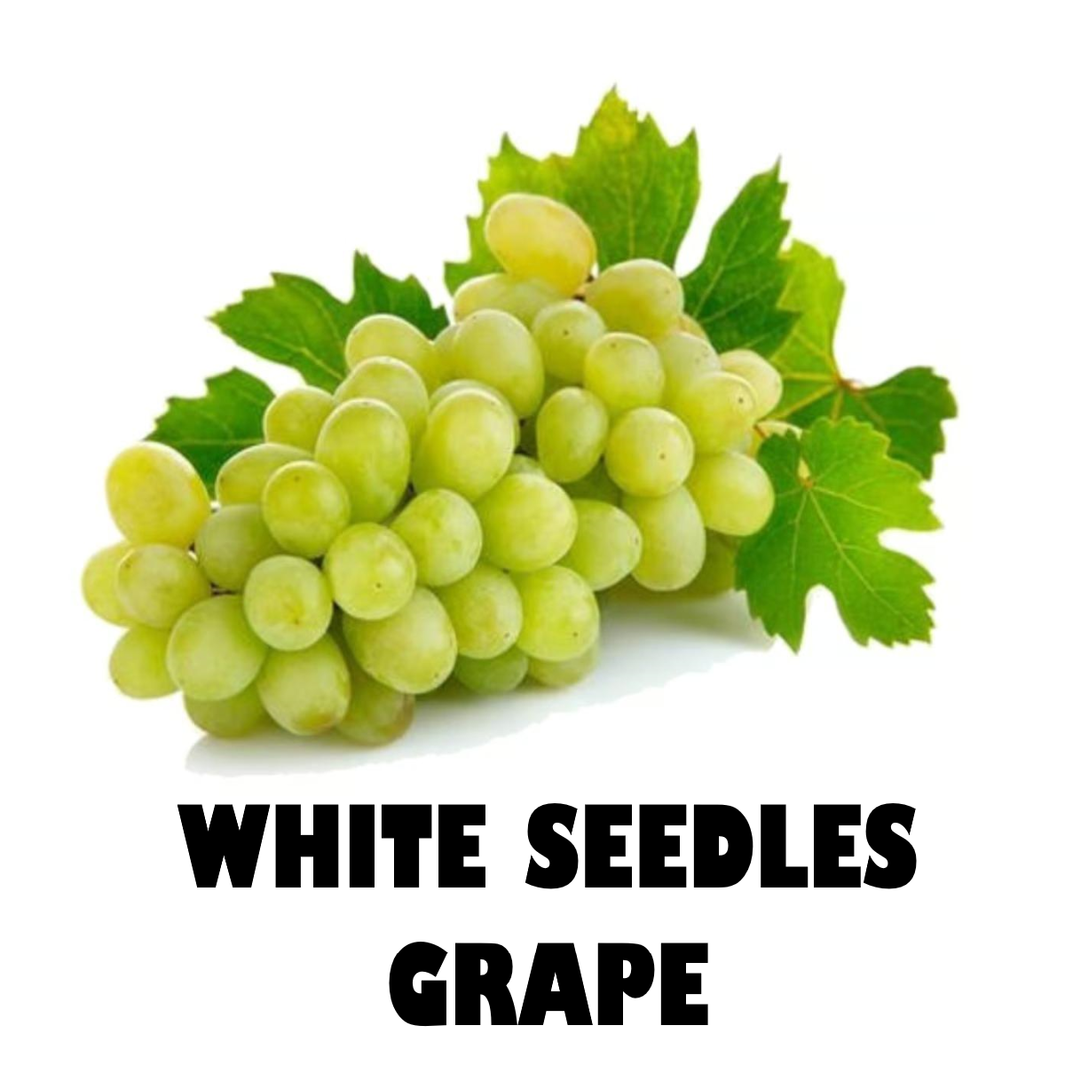 White Seedles Grape (250g)