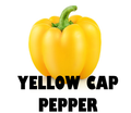 Bell Pepper Yellow