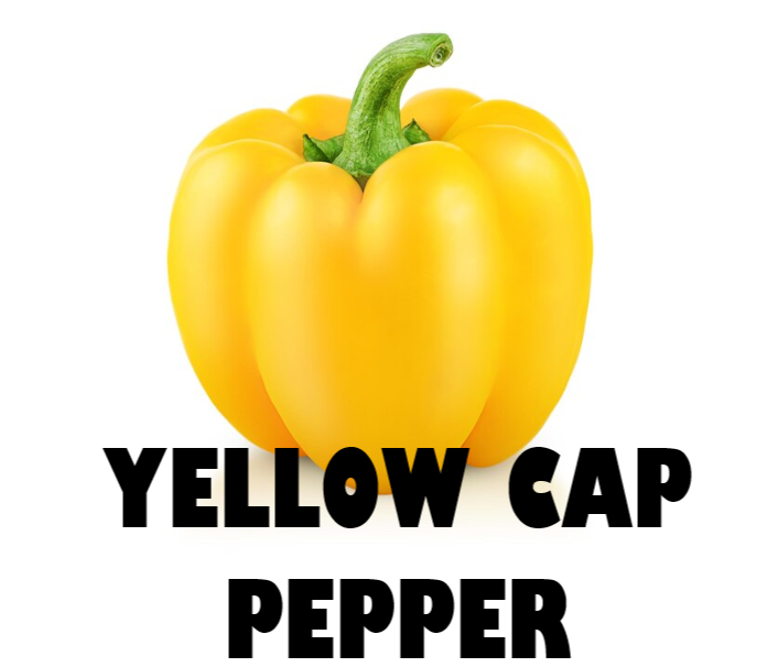 Bell Pepper Yellow