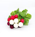 Heritage Radish Bunch