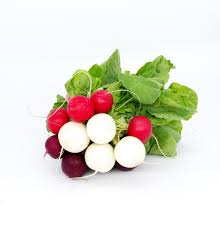Heritage Radish Bunch