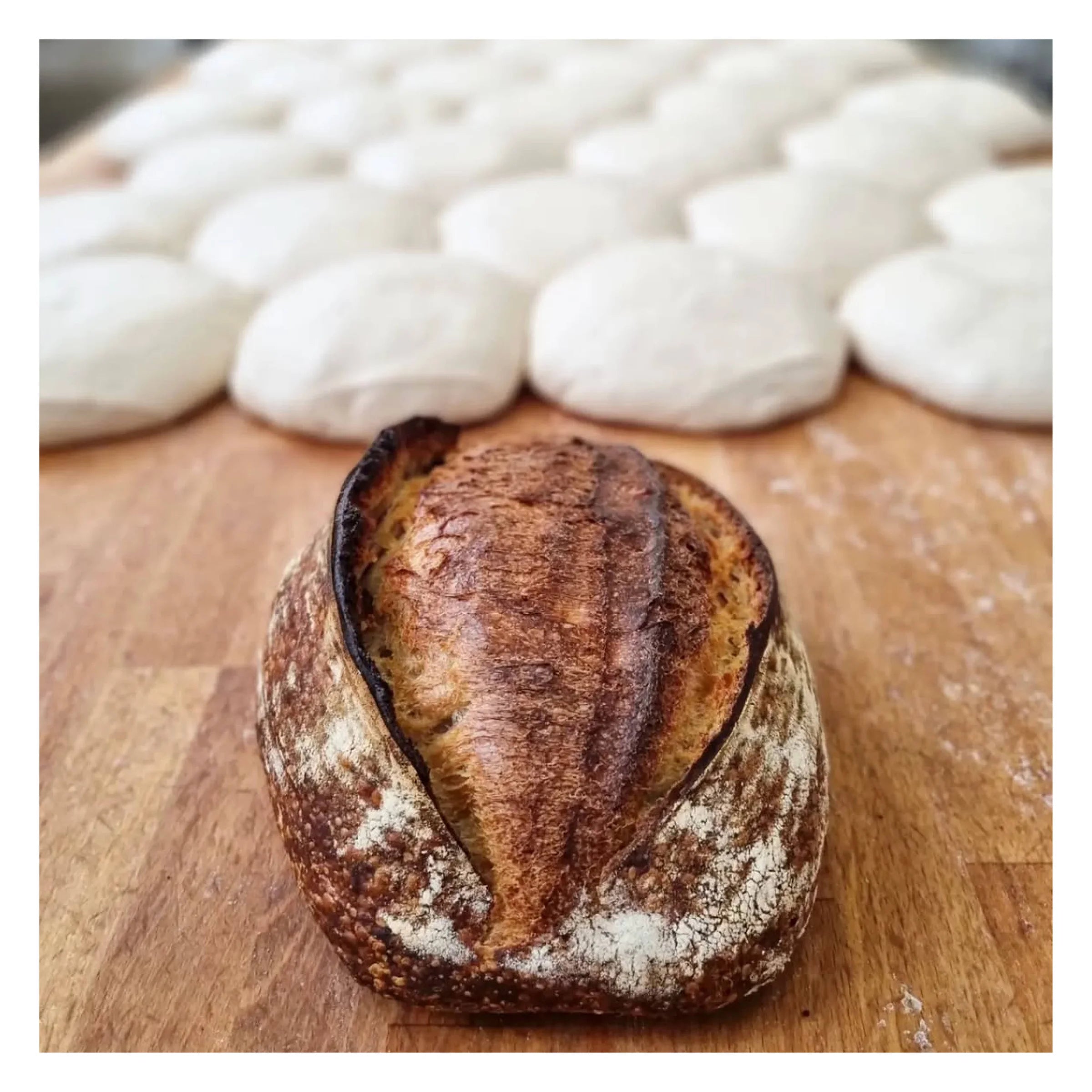Sourdough Bread